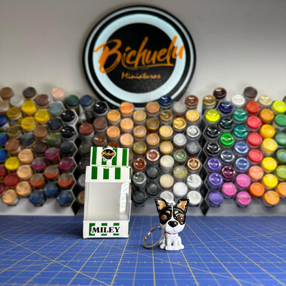 Llavero Personalizado Mascota | Recuerdo Único de tu Compañero Peludo