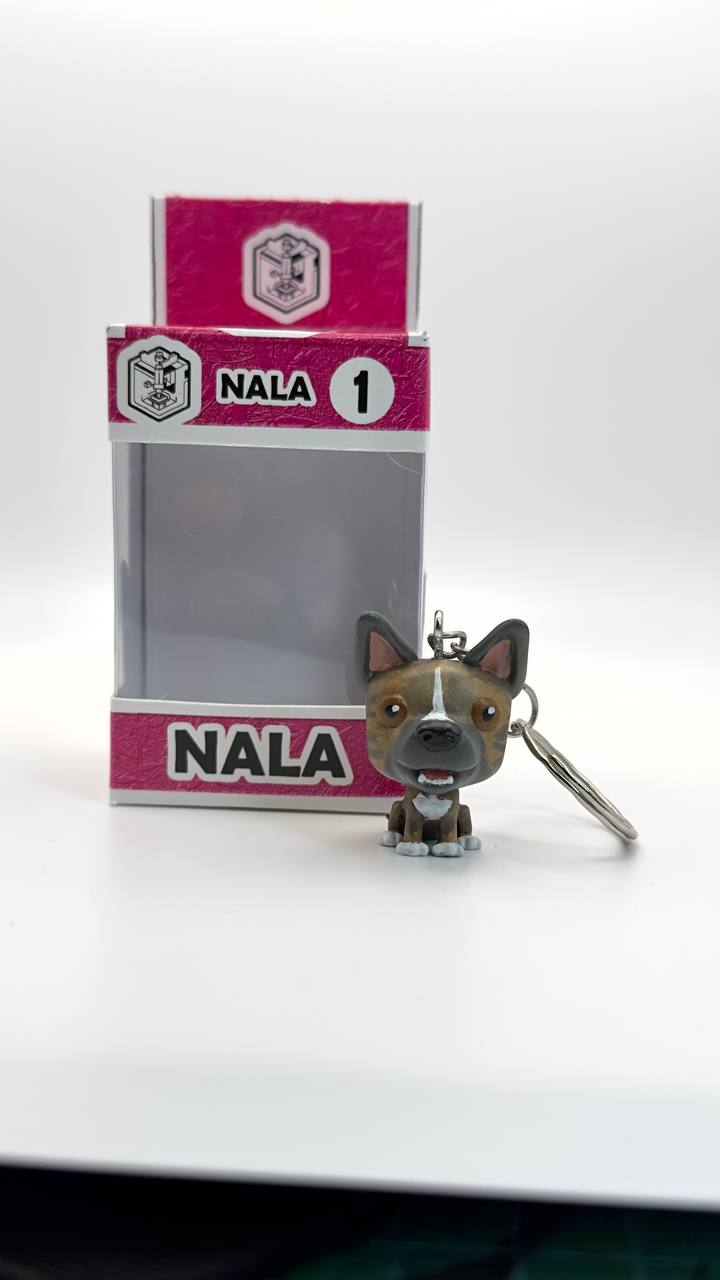 Llavero Personalizado Mascota